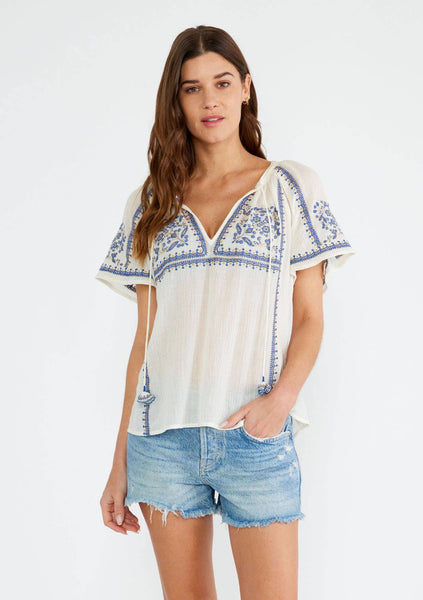 Sky Embroidered Top