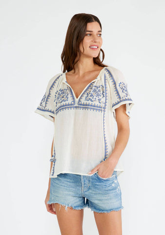 Sky Embroidered Top